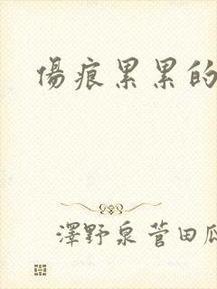 伤痕累累的勋章