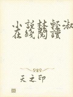 小说林轻淑陈凡在线阅读