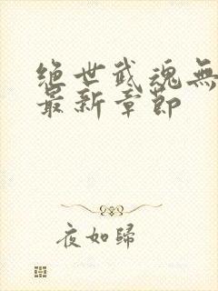 绝世武魂无弹窗最新章节