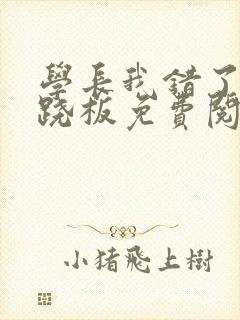 学长我错了 跷跷板免费阅读