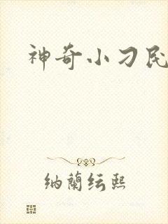 神奇小刁民