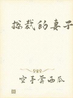 总裁的妻子