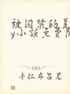 被囚禁的美人by小说免费阅读