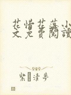 花惜花落小说全文免费阅读