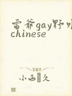 雷爷gay野外chinese