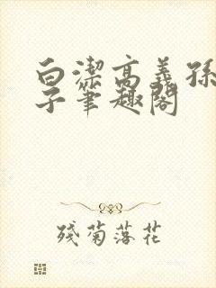 白洁高义孙倩东子笔趣阁封面