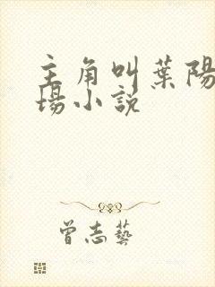 主角叫叶阳的官场小说