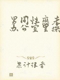 男同性恋老板在办公室里操男同性肛门