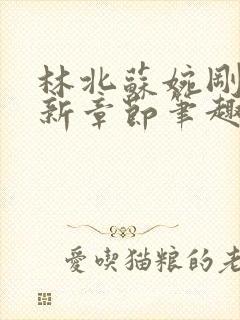 林北苏婉刚刚更新章节笔趣阁