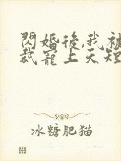 闪婚后,我被总裁宠上天短剧封面