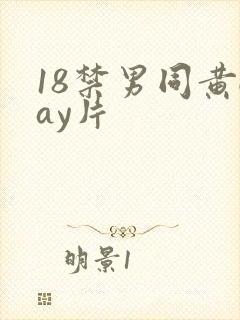 18禁男同黄gay片