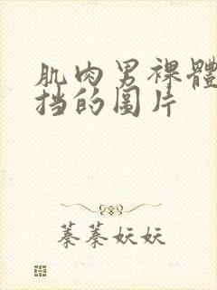 肌肉男裸体无遮挡的图片