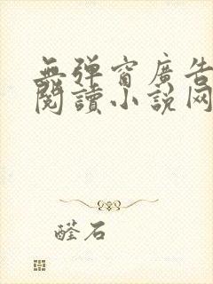 无弹窗广告免费阅读小说网