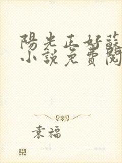 阳光正好苏玥玥小说免费阅读无弹窗