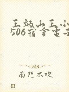 王炳山王小莲在506宿舍电子书封面