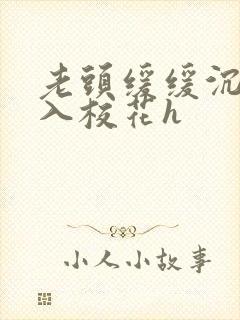 老头缓缓沉腰进入校花h