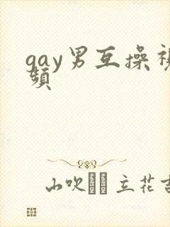 gay男互操视频