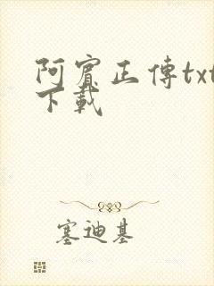 阿宾正传txt下载