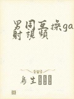 男同互操gay射视频