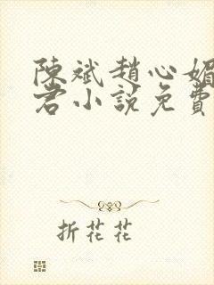 陈斌赵心媚高婉君小说免费阅读