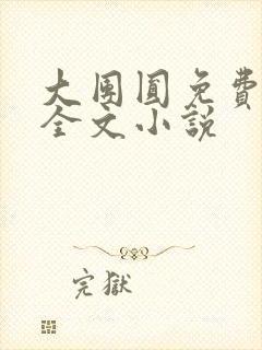 大团圆免费阅读全文小说封面