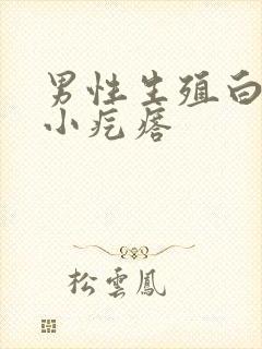 男性生殖白色的小疙瘩