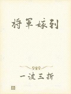 将军嫁到