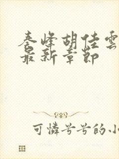 奏峰胡佳云小说最新章节封面