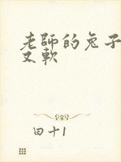 老师的兔子又大又软