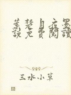 叶楚月夜墨寒小说免费阅读笔趣阁