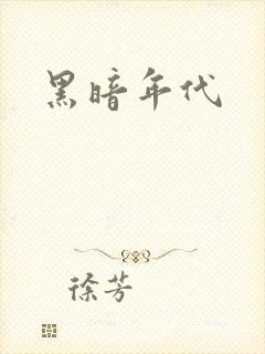 黑暗年代封面