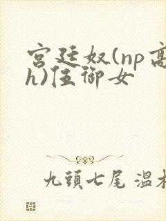 宫廷奴(np高h)伍御女