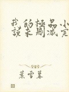 我的极品小姨小说未删减完整版封面