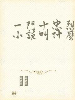 一门十忠烈叶凡小说叫什么名字