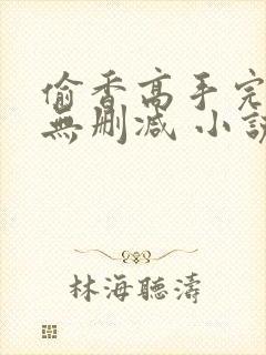 偷香高手完整版无删减 小说