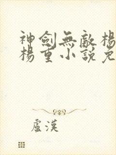 神剑无敌杨小天杨重小说免费阅读