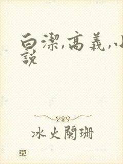 白洁,高义,小说