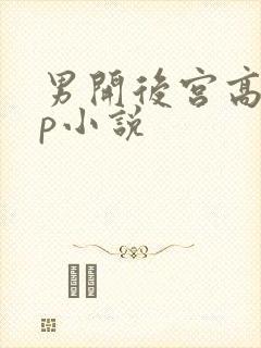 男开后宫高hnp小说