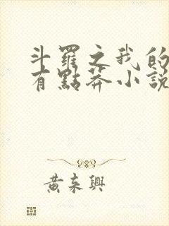 斗罗之我的武魂有点莽小说封面