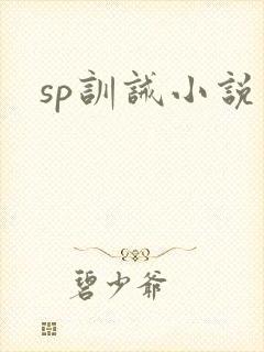 sp训诫小说封面