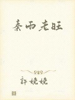 秦雨老旺封面