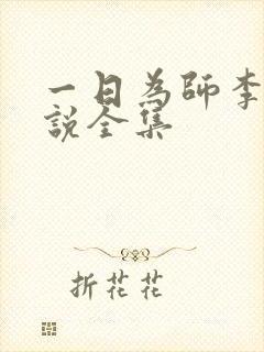 一日为师李超小说全集