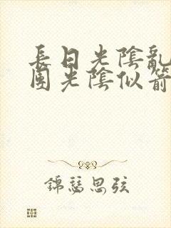 长日光阴乱作一团光阴似箭封面