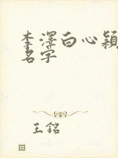 李泽白心颖小说名字