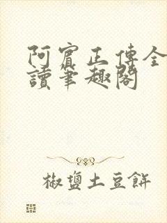 阿宾正传全文阅读笔趣阁