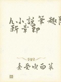 h小说笔趣阁最新章节