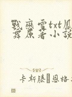 战恋雪txt凤舞原著小说封面