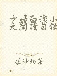 少妇白洁小说全文阅读目录