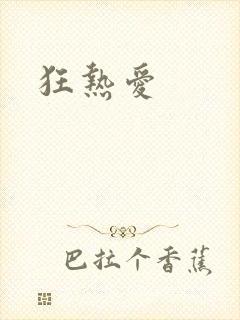 狂热爱封面