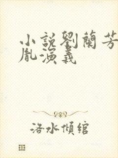 小说刘兰芳赵匡胤演义